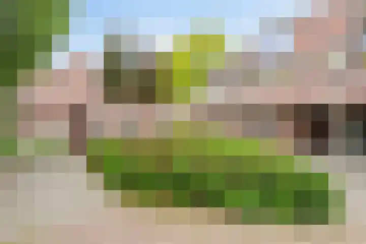 Braak 65 Veldhoven thumbnail 8