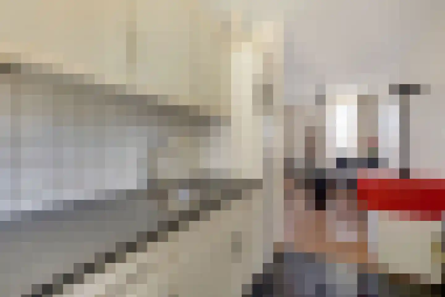 Braak 7 Veldhoven thumbnail 13