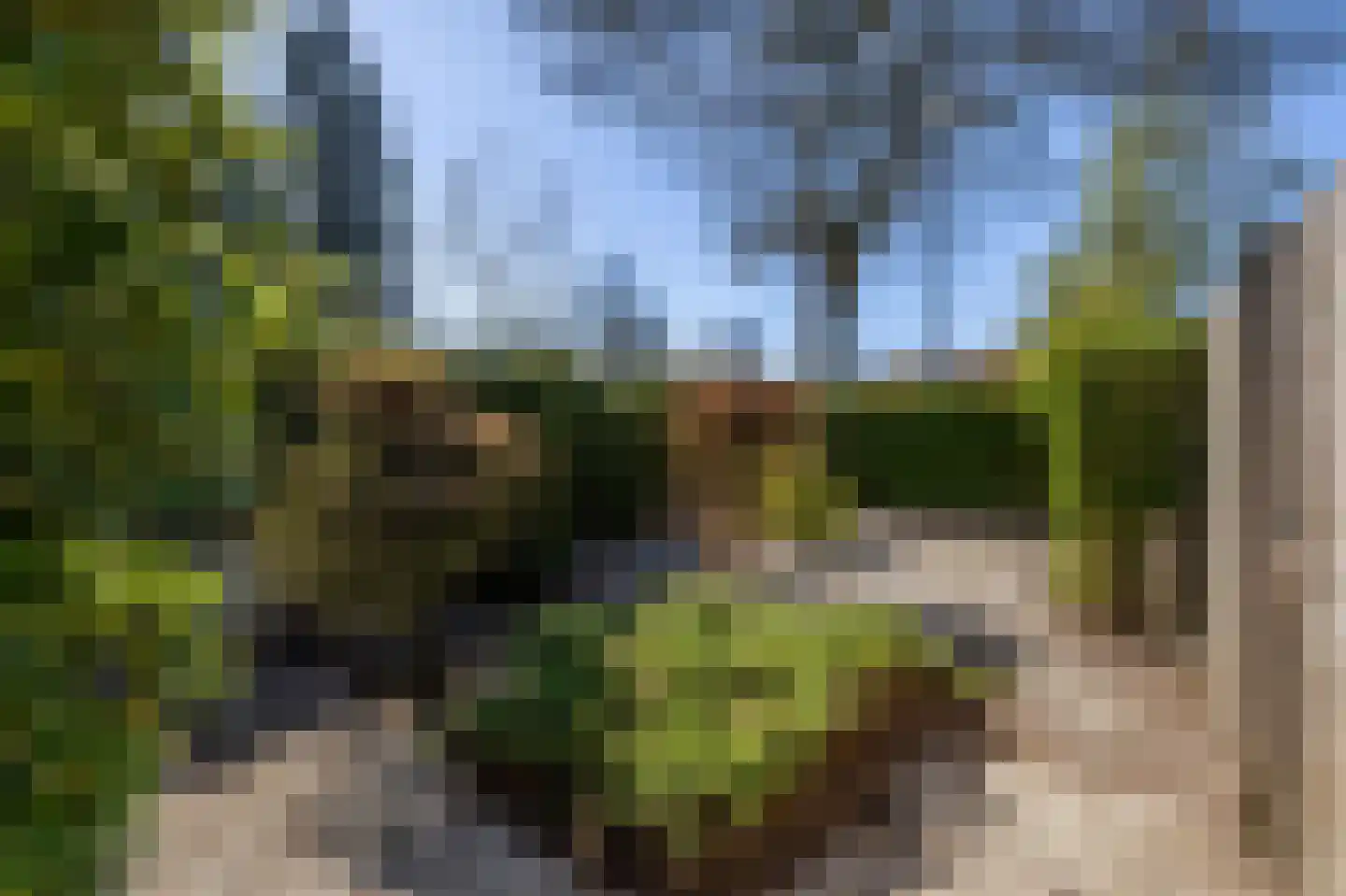 Braak 7 Veldhoven thumbnail 31