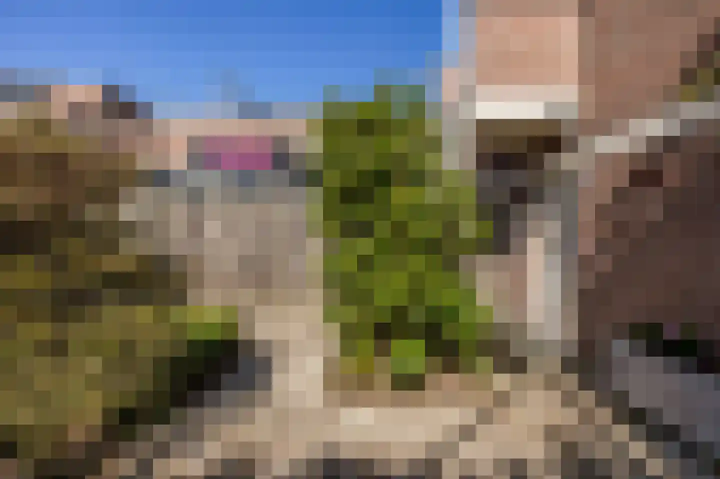 Braak 7 Veldhoven thumbnail 32