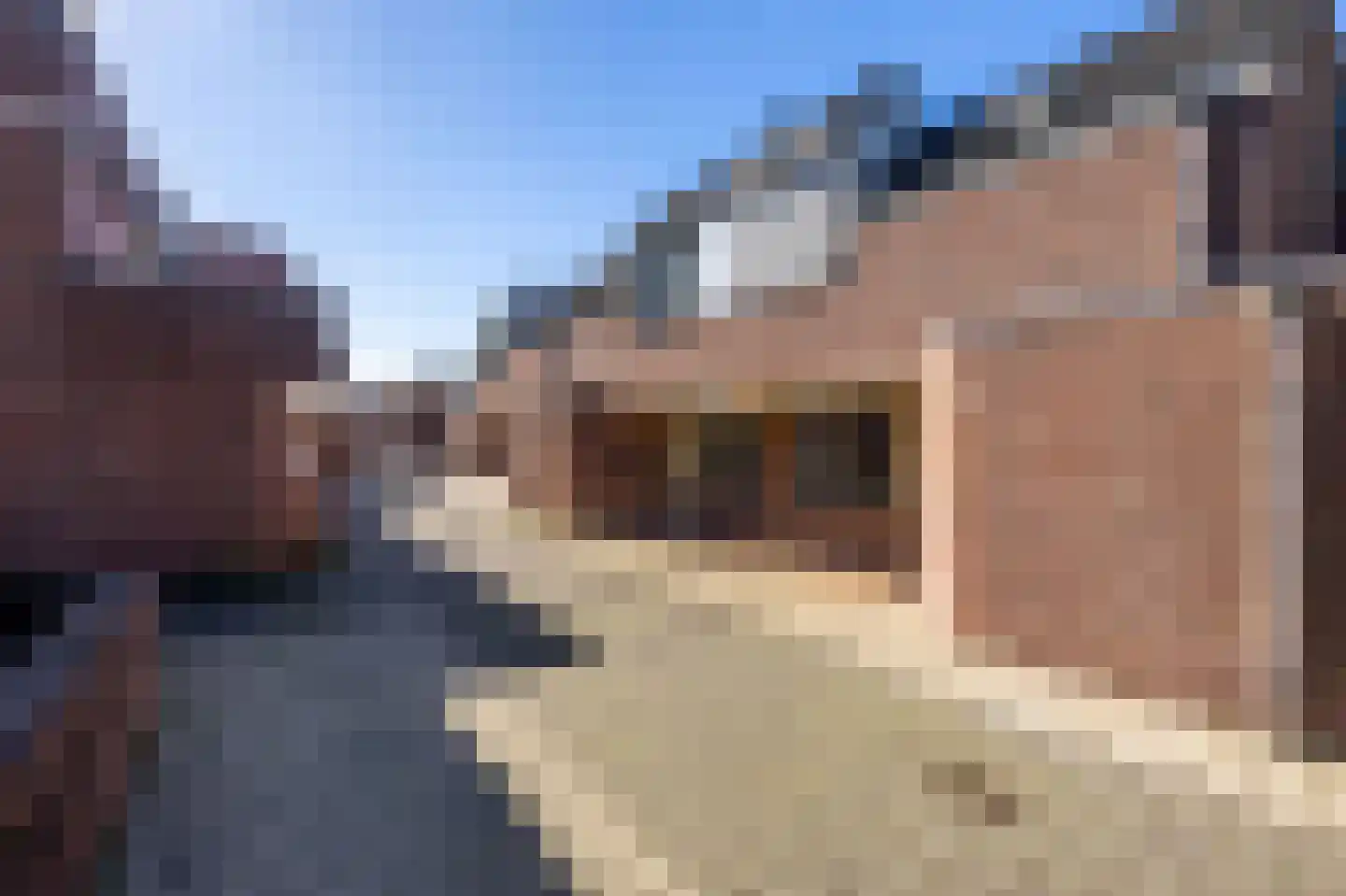 Braak 7 Veldhoven thumbnail 6