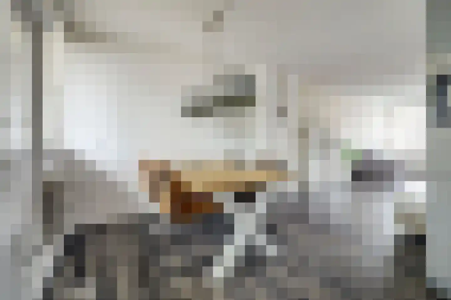 Braak 70 Veldhoven thumbnail 30