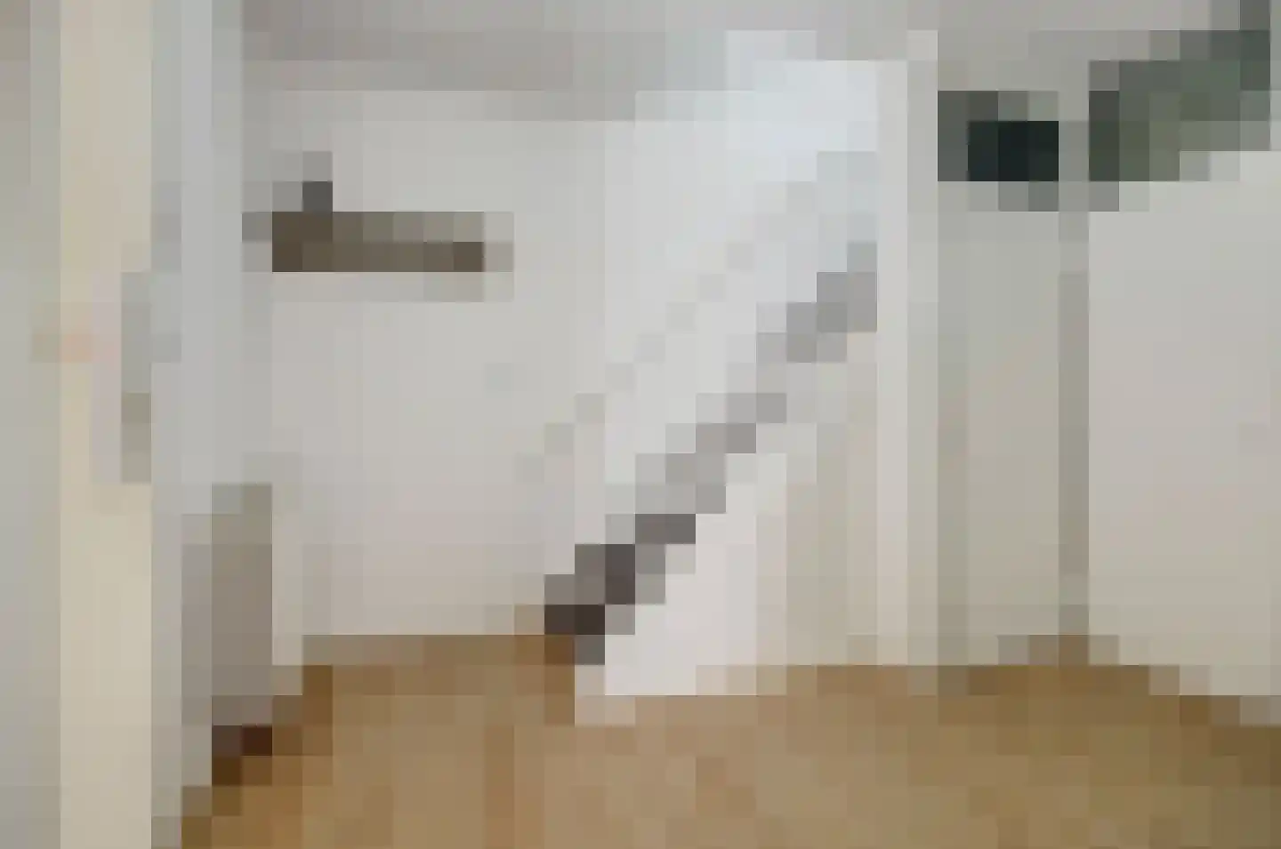 Braak 70 Veldhoven thumbnail 8