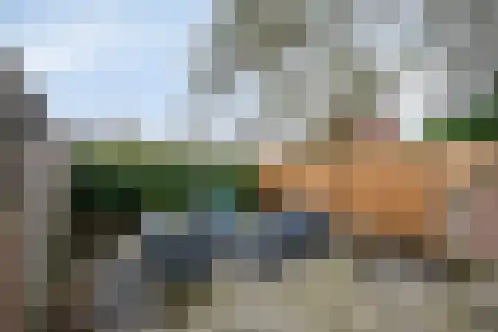 Braak 73 Veldhoven thumbnail 21