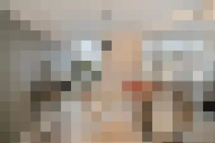 Braak 73 Veldhoven thumbnail 4