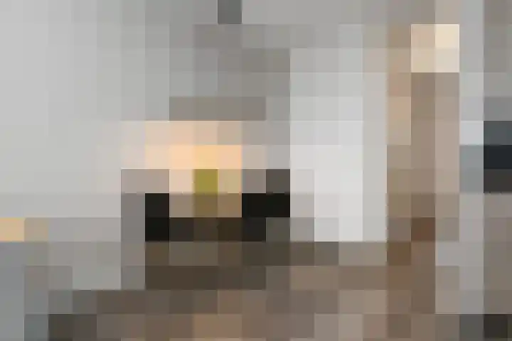 Braak 78 Veldhoven thumbnail 13