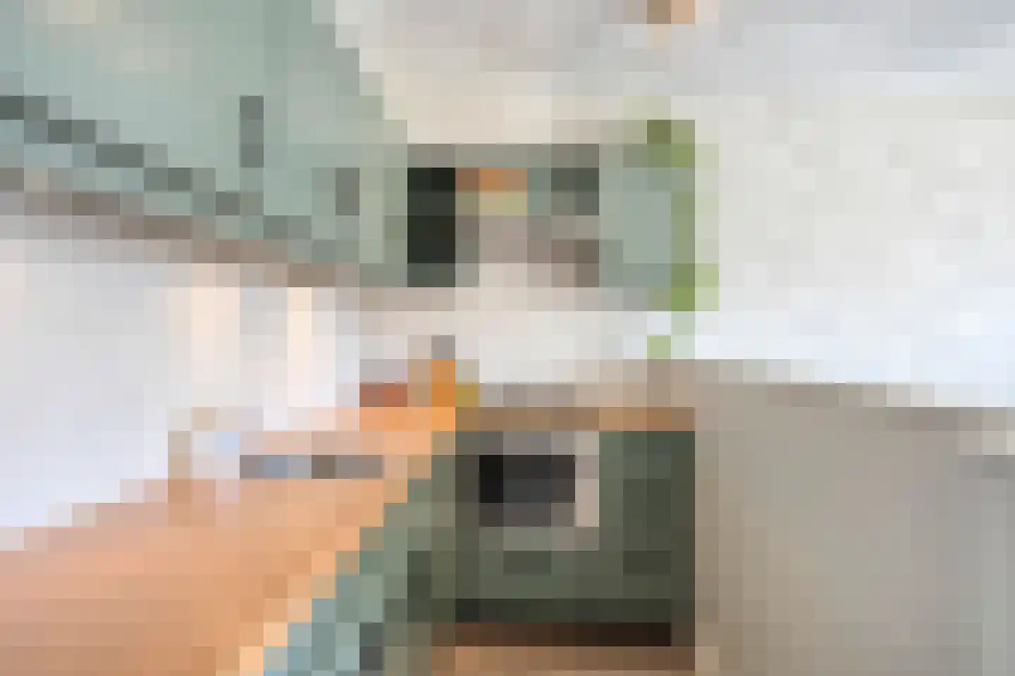 Braak 86 Veldhoven thumbnail 12