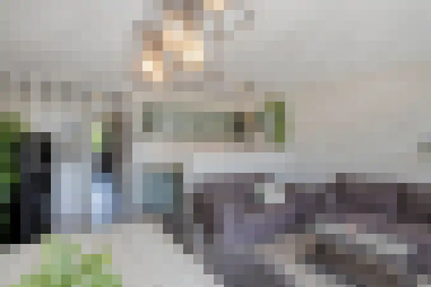 Braak 86 Veldhoven thumbnail 4