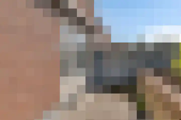 Braak 93 Veldhoven thumbnail 17