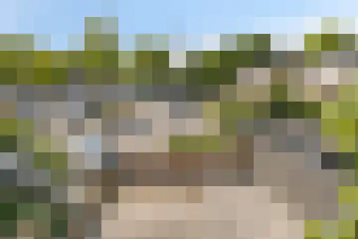 Braak 93 Veldhoven thumbnail 18