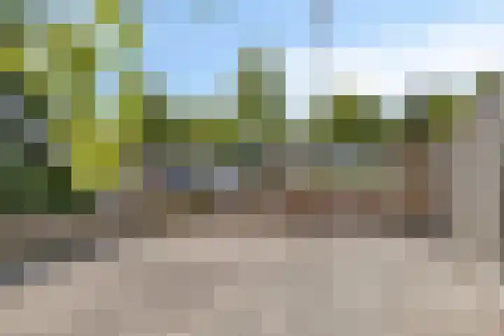 Braak 93 Veldhoven thumbnail 19