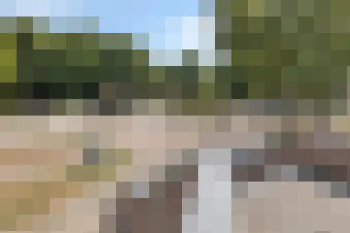 Braak 93 Veldhoven thumbnail 25
