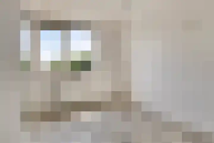 Braak 93 Veldhoven thumbnail 8