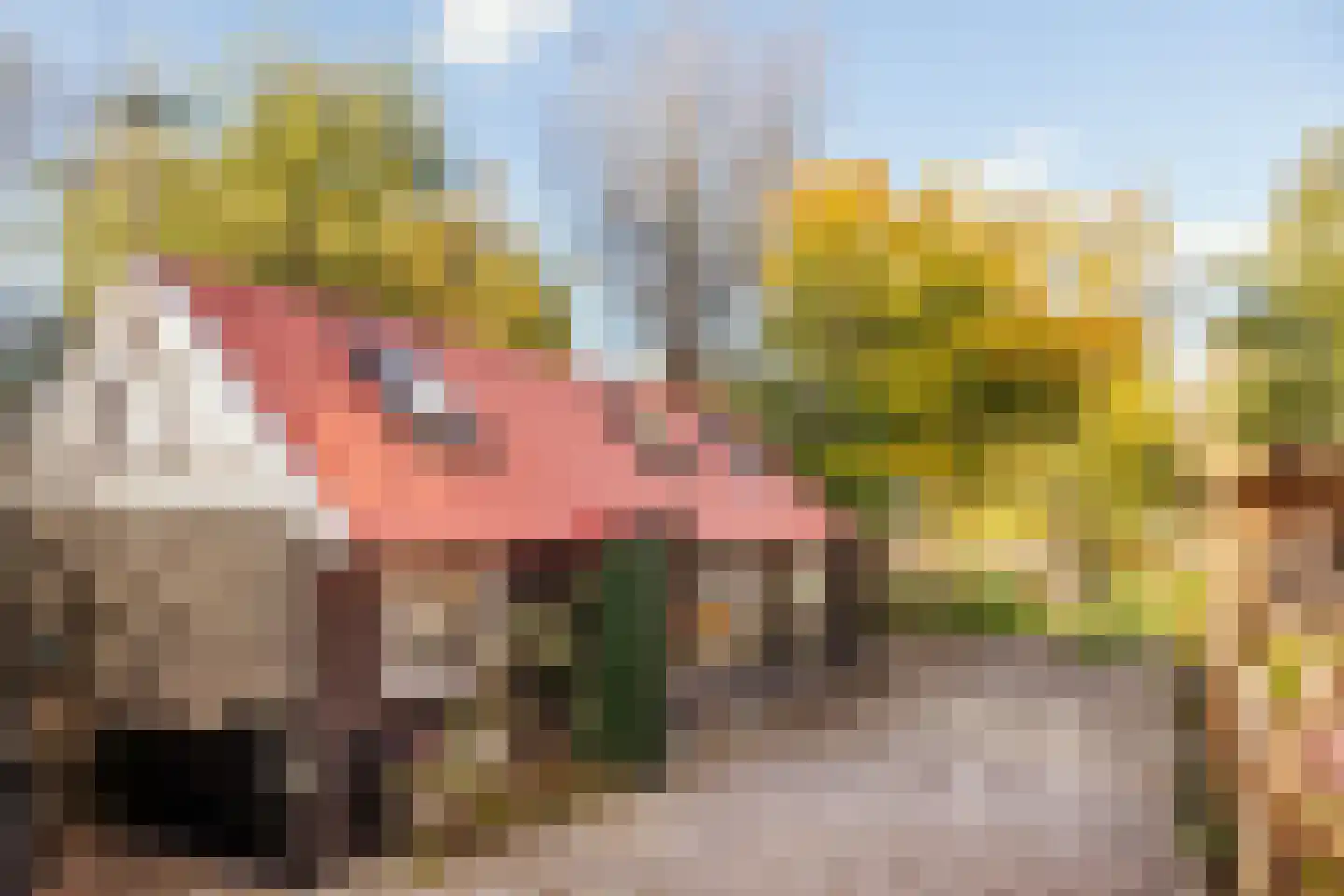 Braakdijk 24 Zaandam thumbnail 20