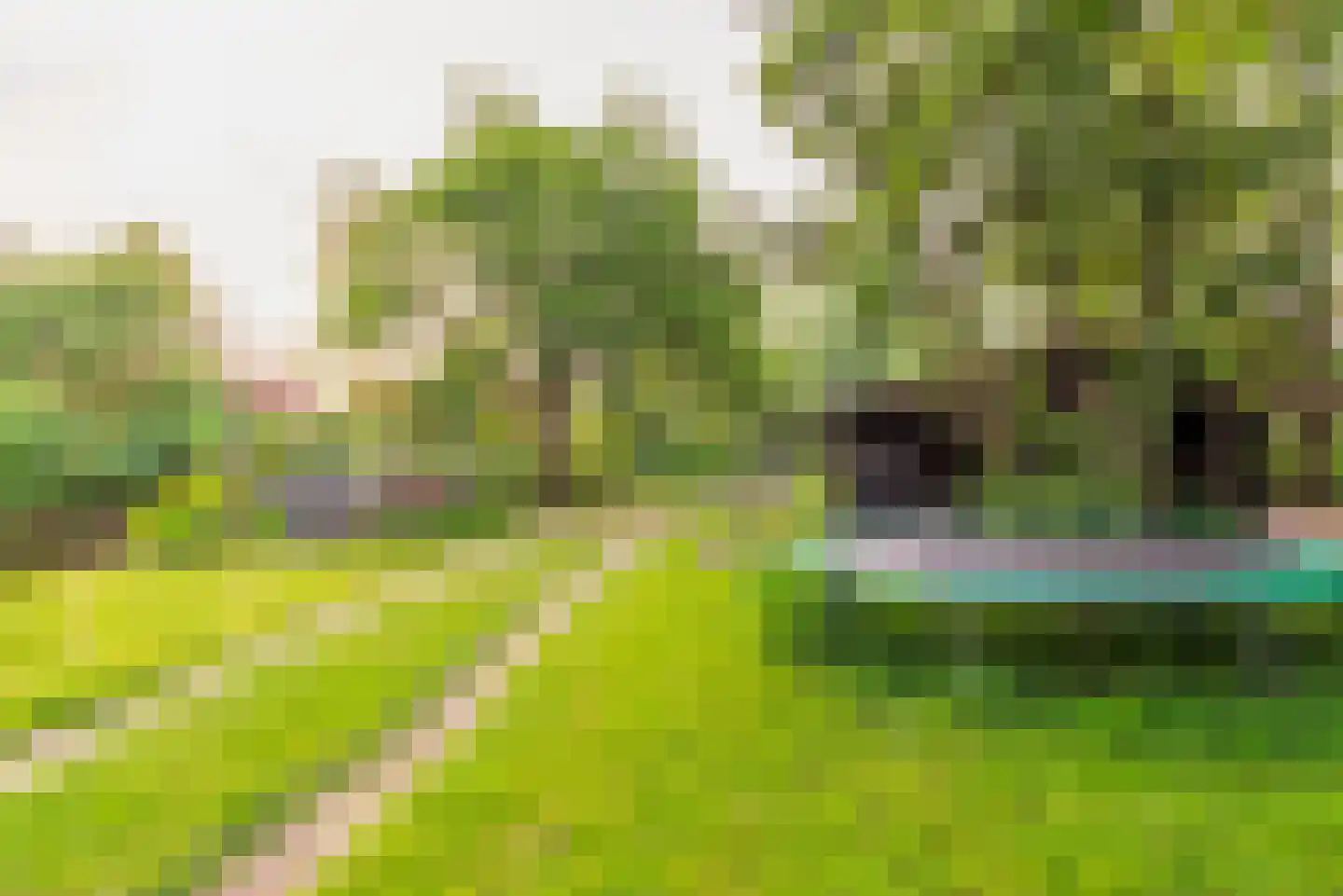 Braakdijk 24 Zaandam thumbnail 27