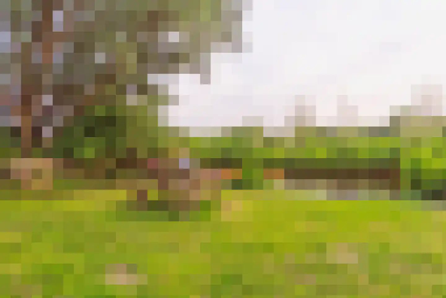Braakdijk 24 Zaandam thumbnail 30