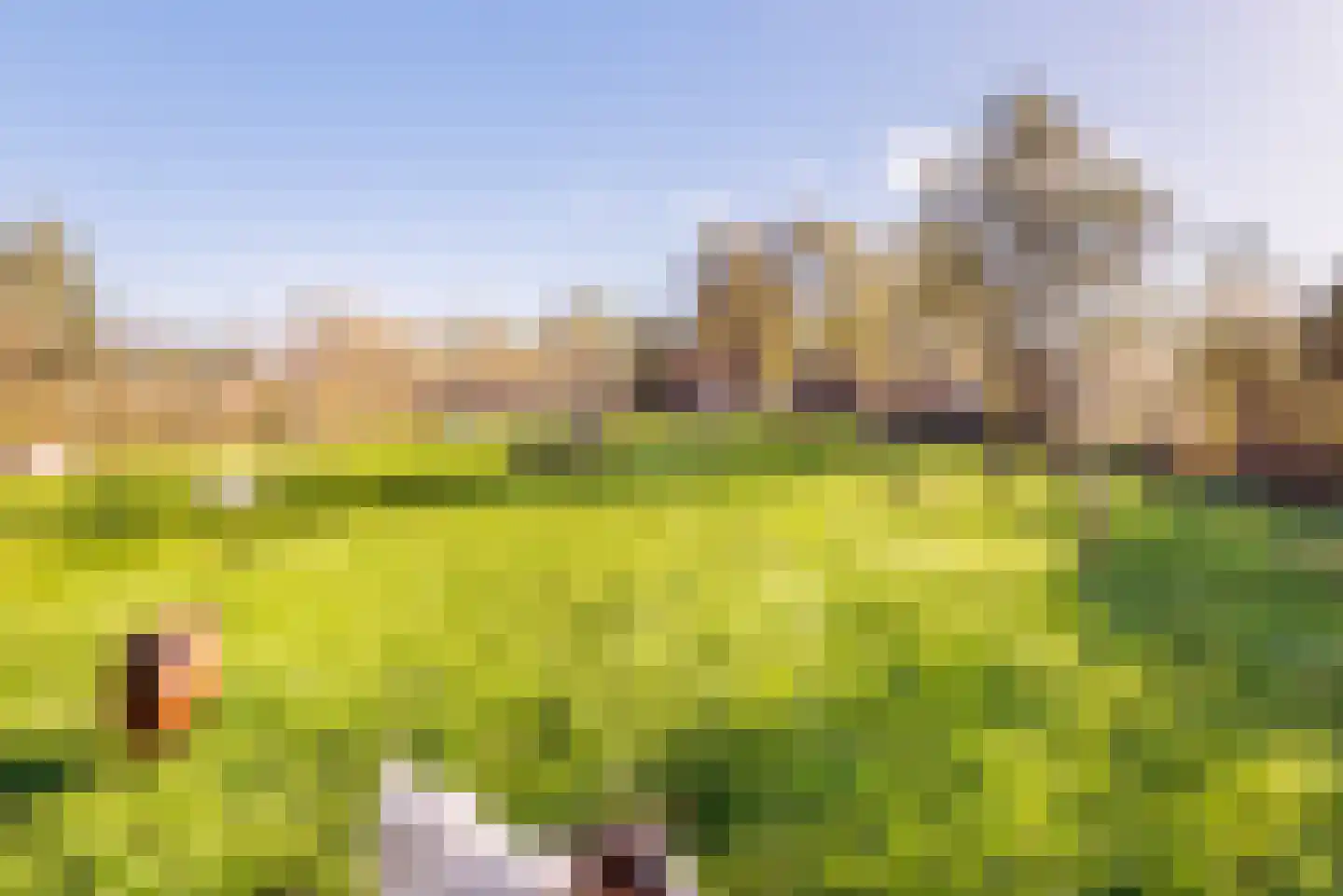 Braakdijk 24 Zaandam thumbnail 32