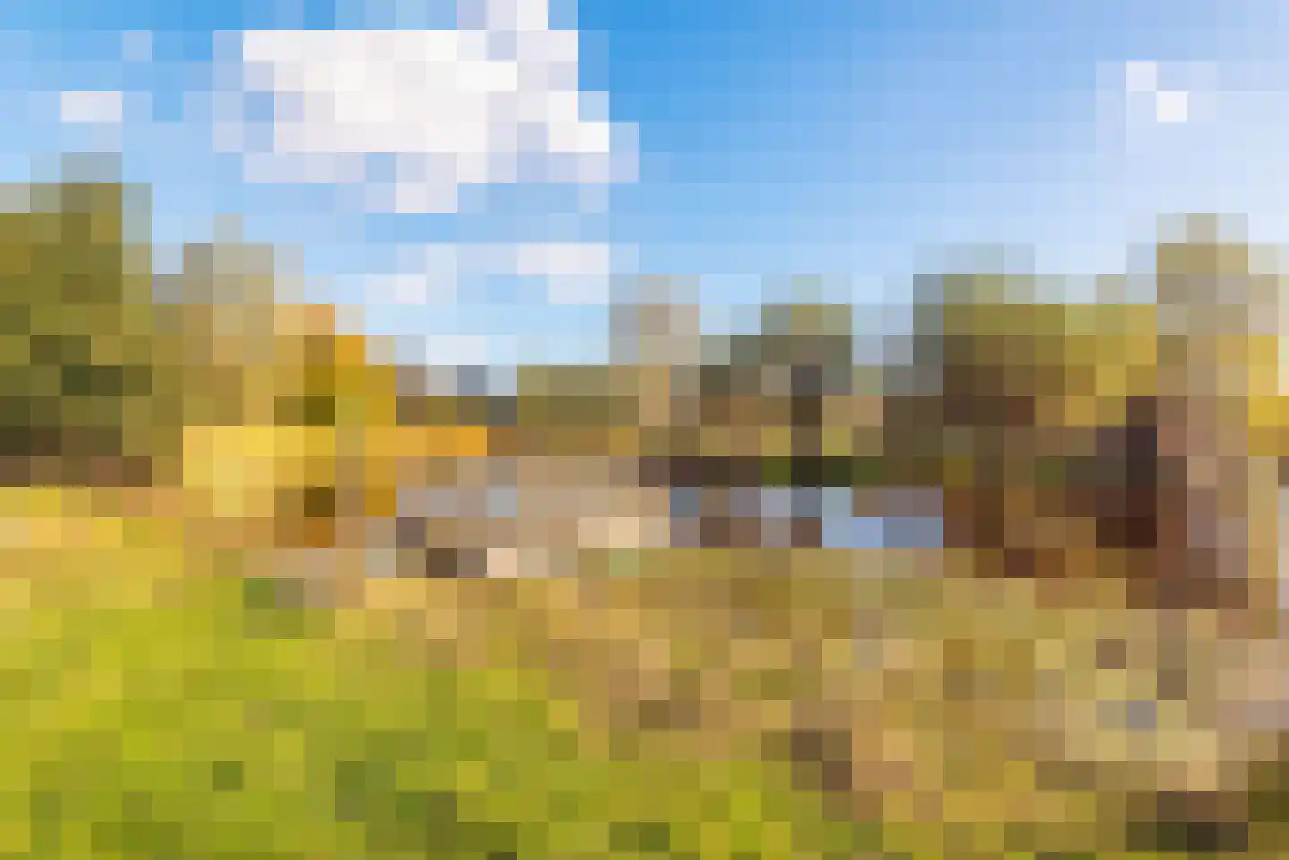 Braakdijk 24 Zaandam thumbnail 33