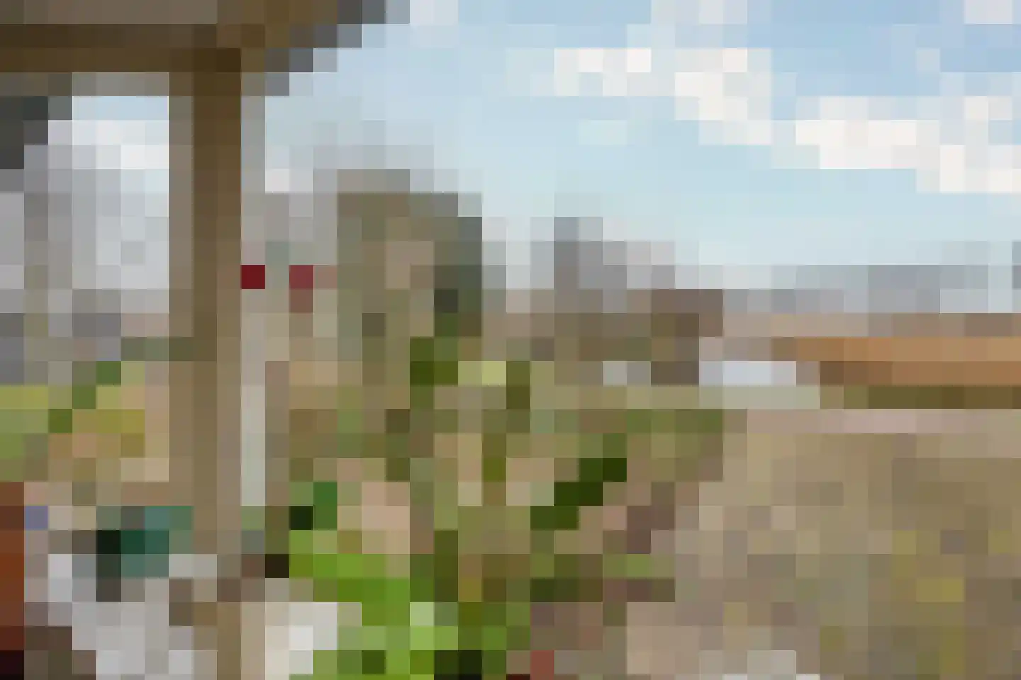 Braakdijk R 26 ROOD Zaandam thumbnail 8