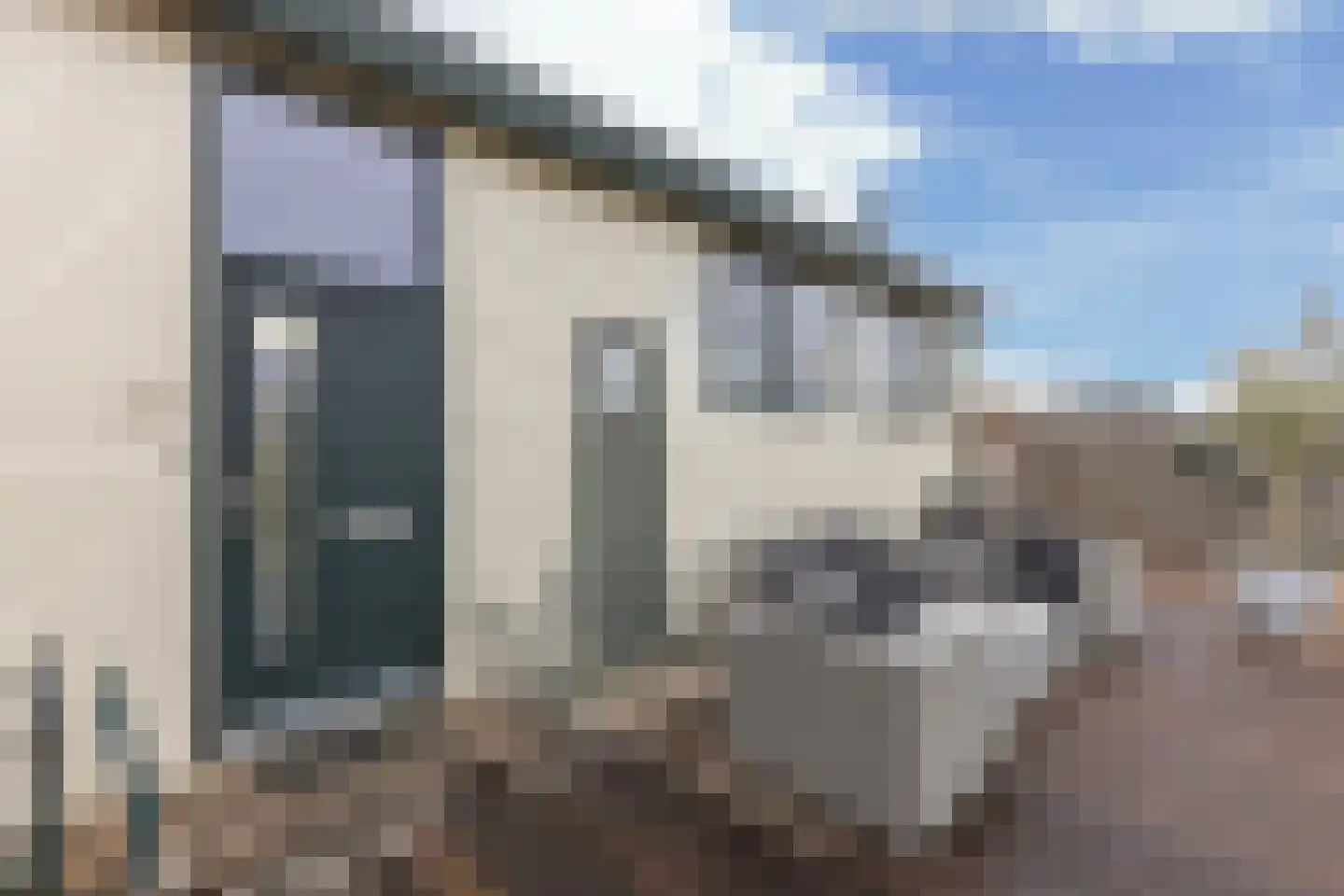 Braakdijk R 29 ROOD Zaandam thumbnail 4