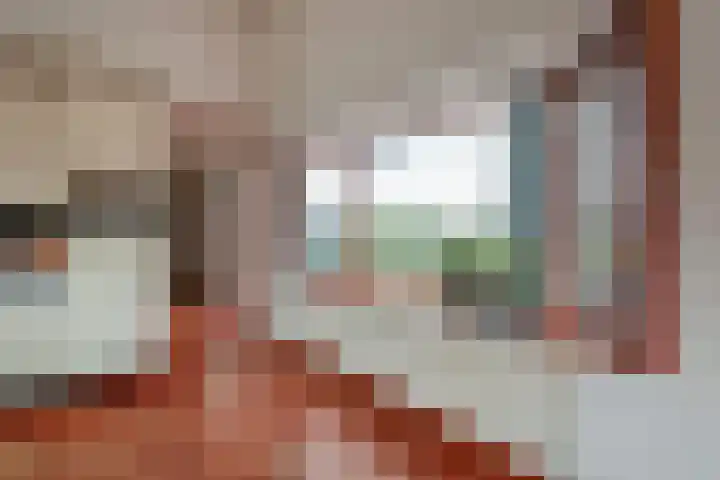 Braakdijk R 7 ROOD Zaandam thumbnail 16