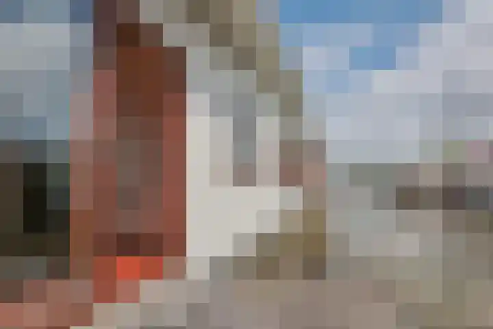 Braakdijk R 7 ROOD Zaandam thumbnail 30