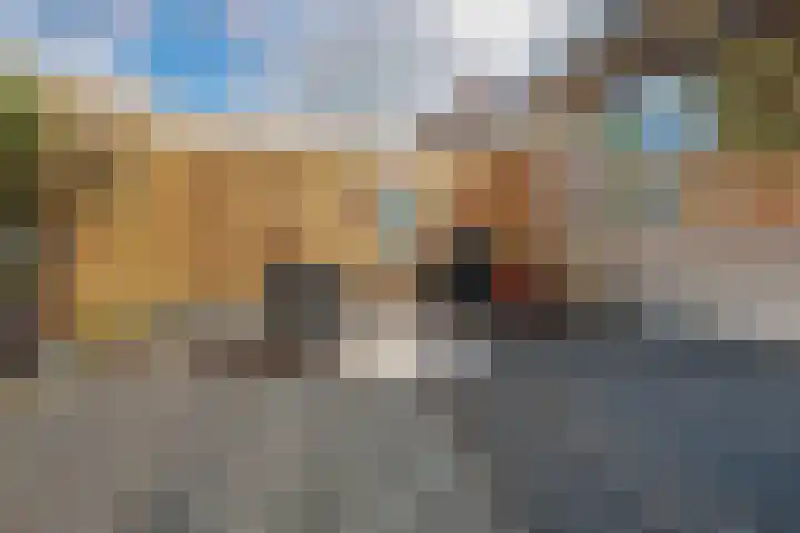 Braakdijk R 7 ROOD Zaandam thumbnail 35