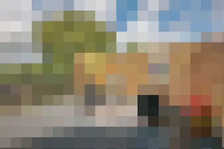 Braakdijk R 7 ROOD Zaandam thumbnail 36