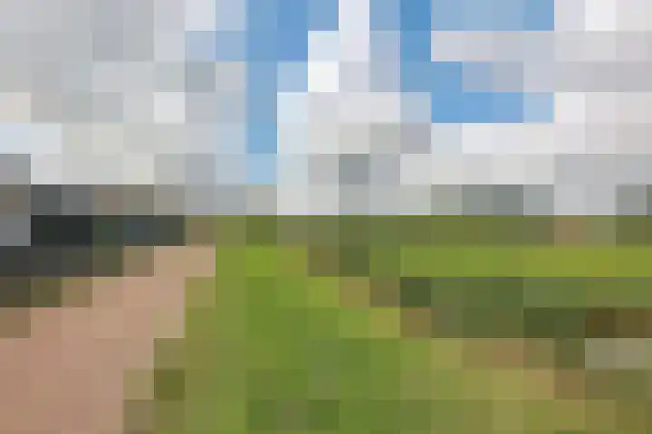Braakdijk R 7 ROOD Zaandam thumbnail 41