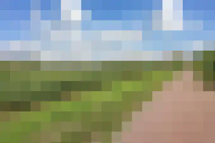 Braakdijk R 7 ROOD Zaandam thumbnail 42