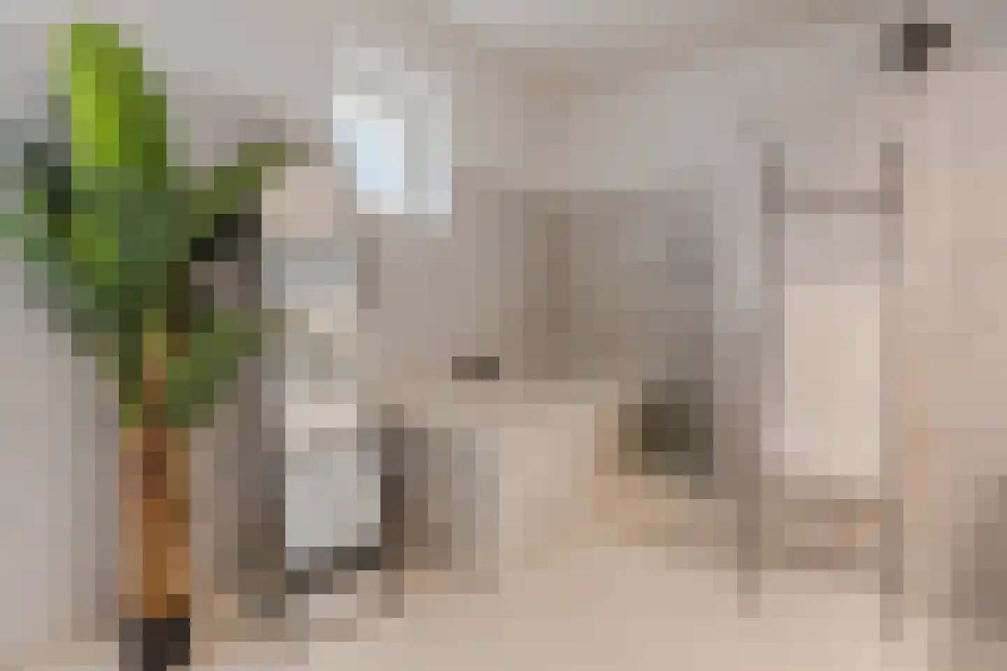 Braakdonk 7 Breda thumbnail 17
