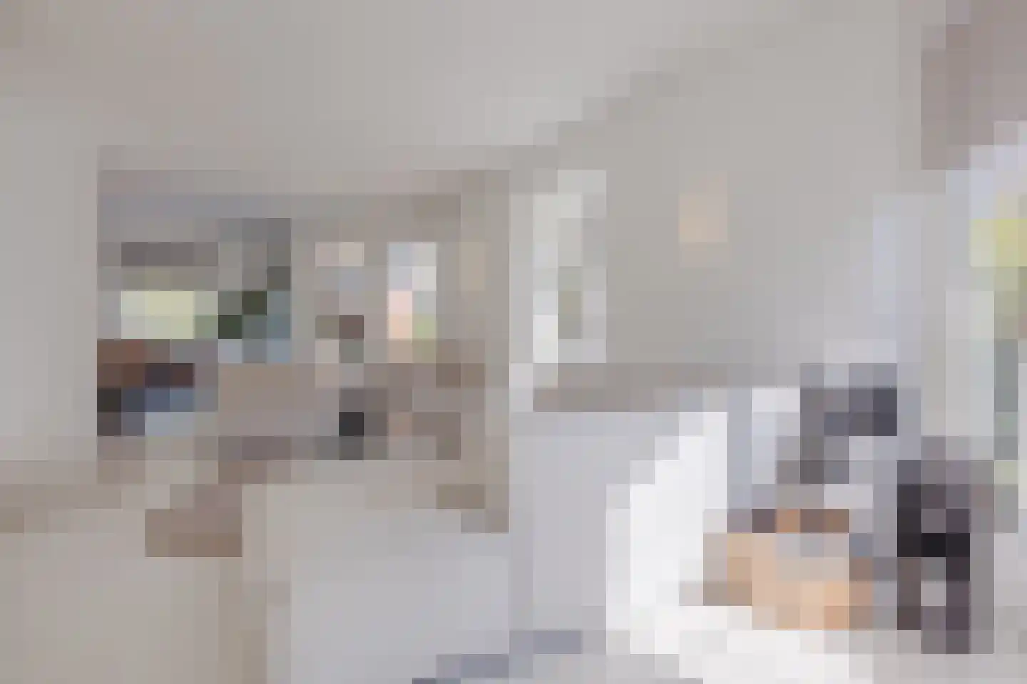 Braakdonk 7 Breda thumbnail 28