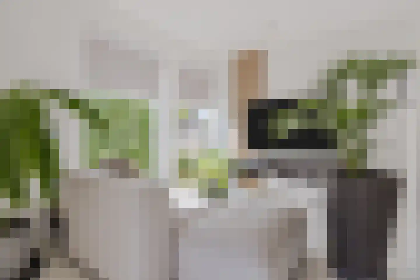 Braakdonk 7 Breda thumbnail 29