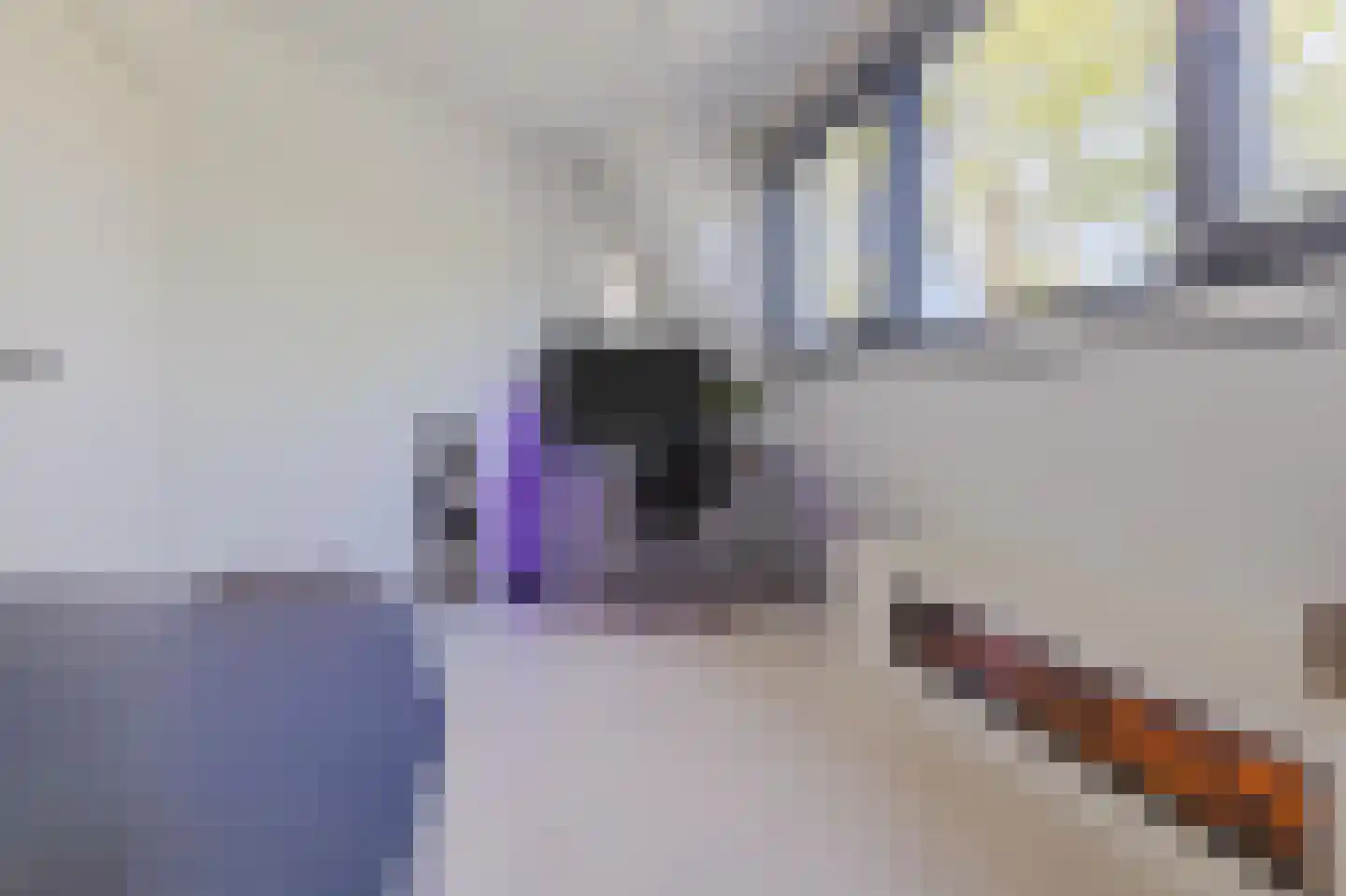 Braakdonk 7 Breda thumbnail 50