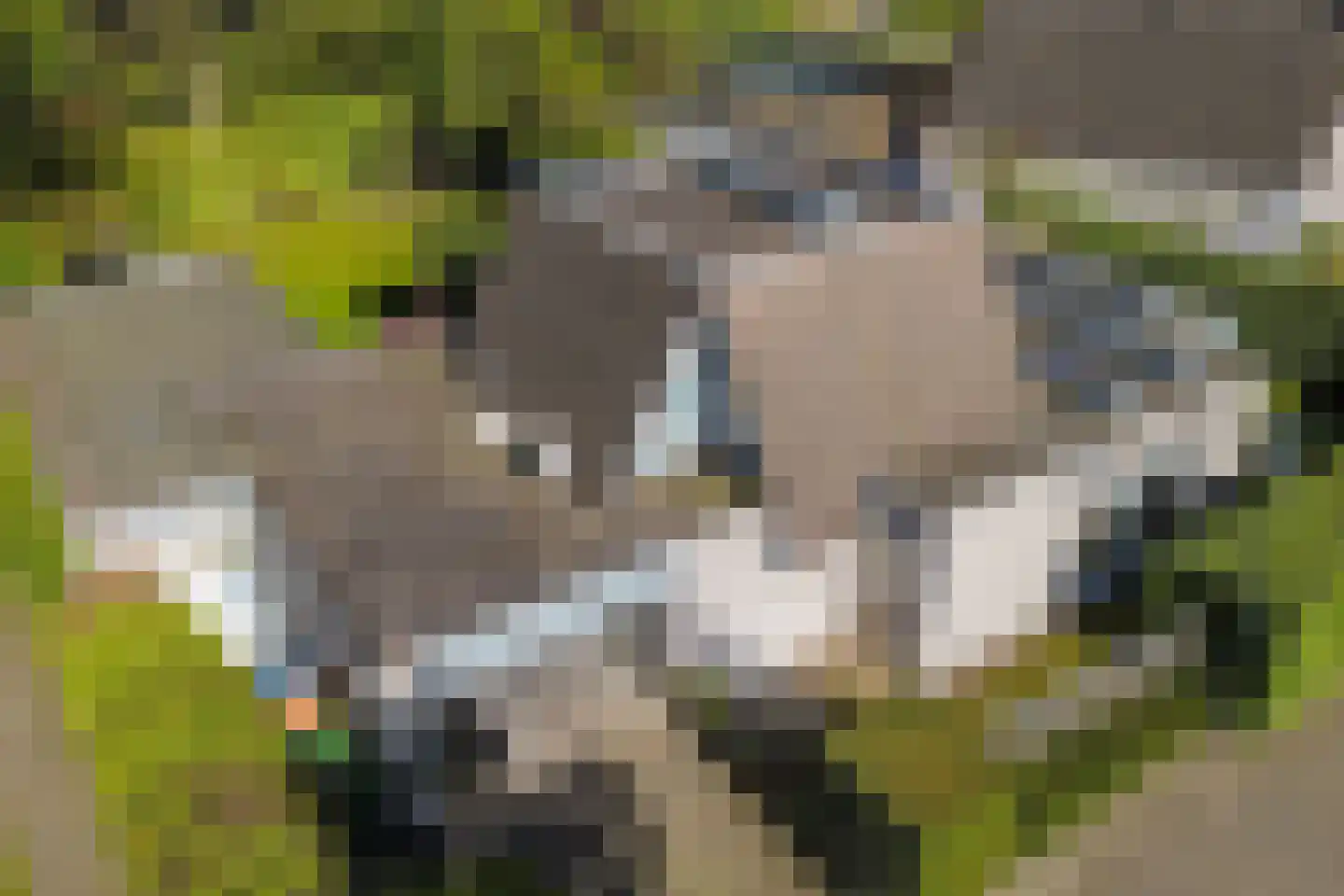 Braakdonk 7 Breda thumbnail 55
