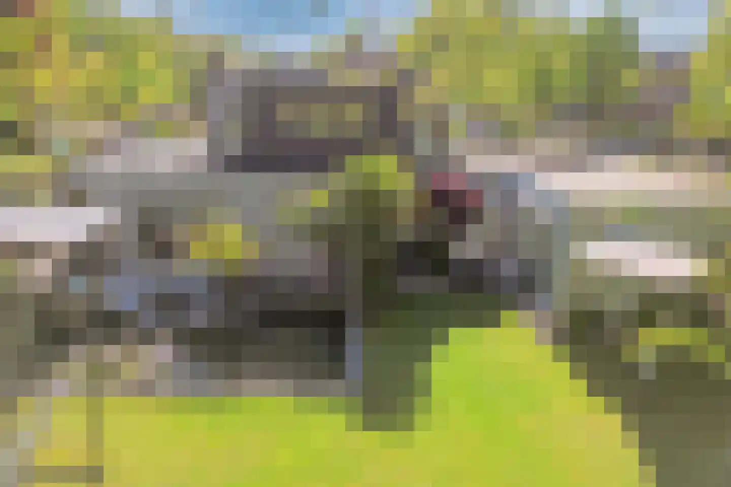 Braakdonk 7 Breda thumbnail 56