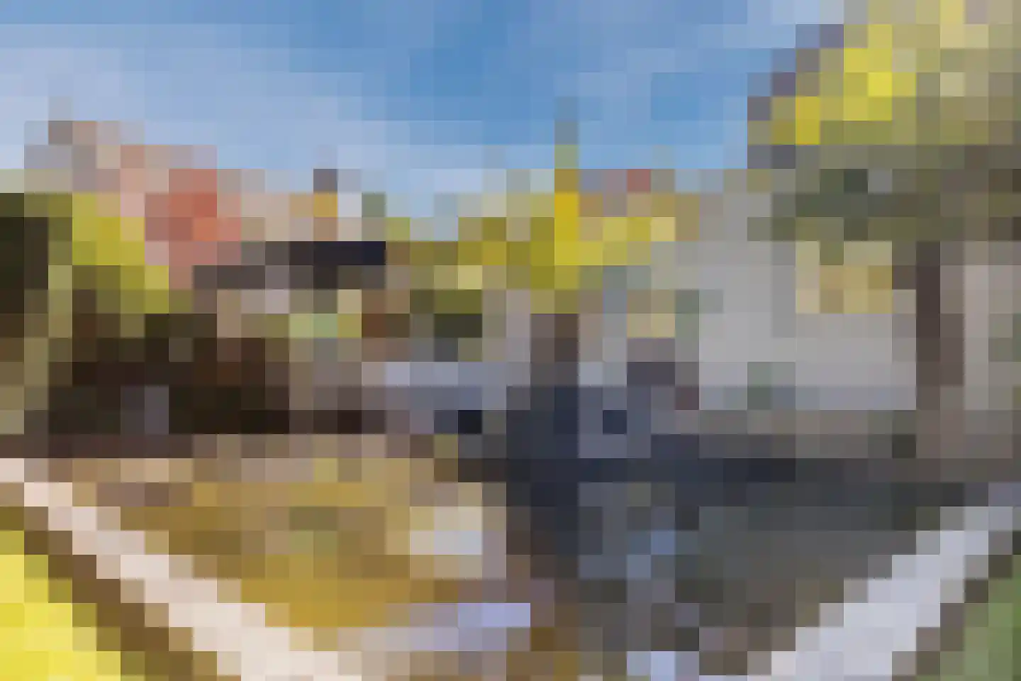 Braakdonk 7 Breda thumbnail 58