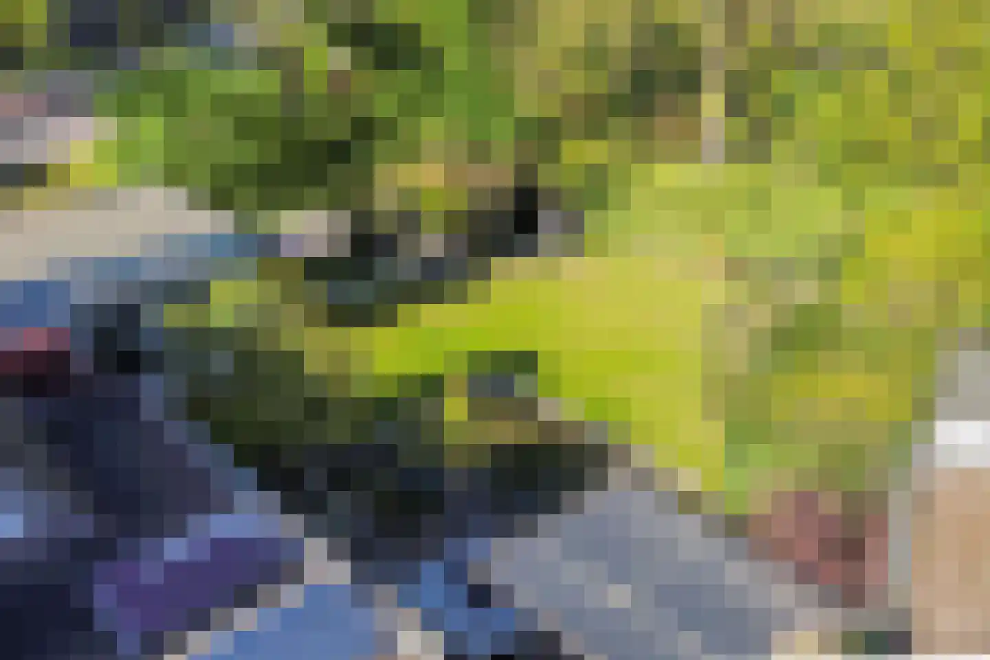 Braakdonk 7 Breda thumbnail 63