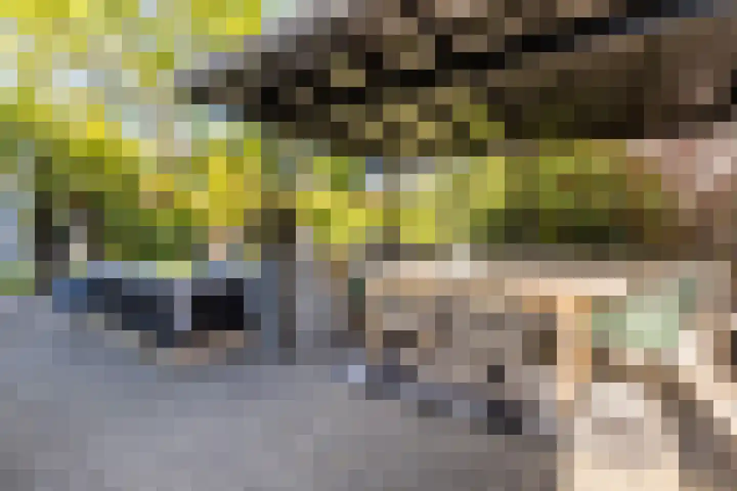 Braakdonk 7 Breda thumbnail 64