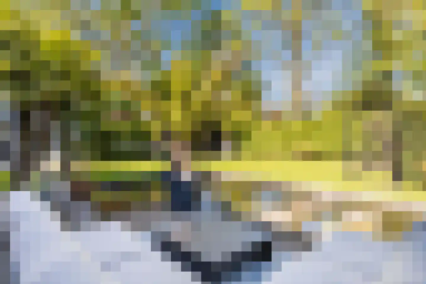 Braakdonk 7 Breda thumbnail 67