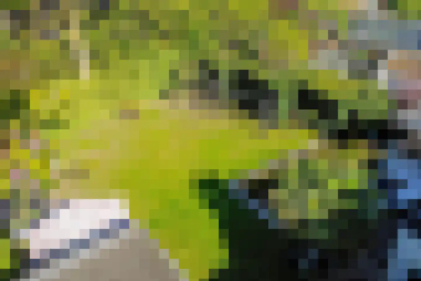 Braakdonk 7 Breda thumbnail 68