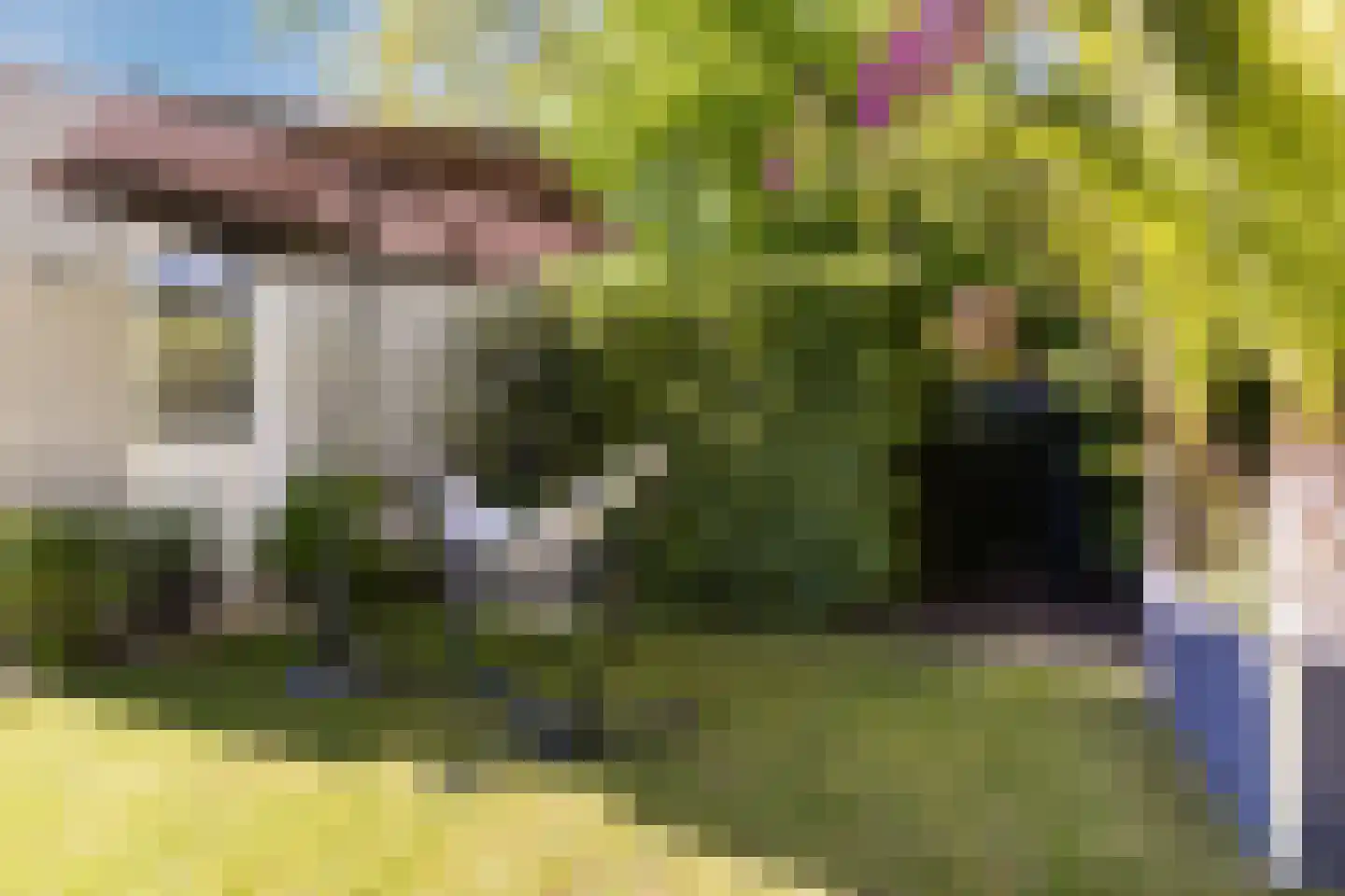 Braakdonk 7 Breda thumbnail 70