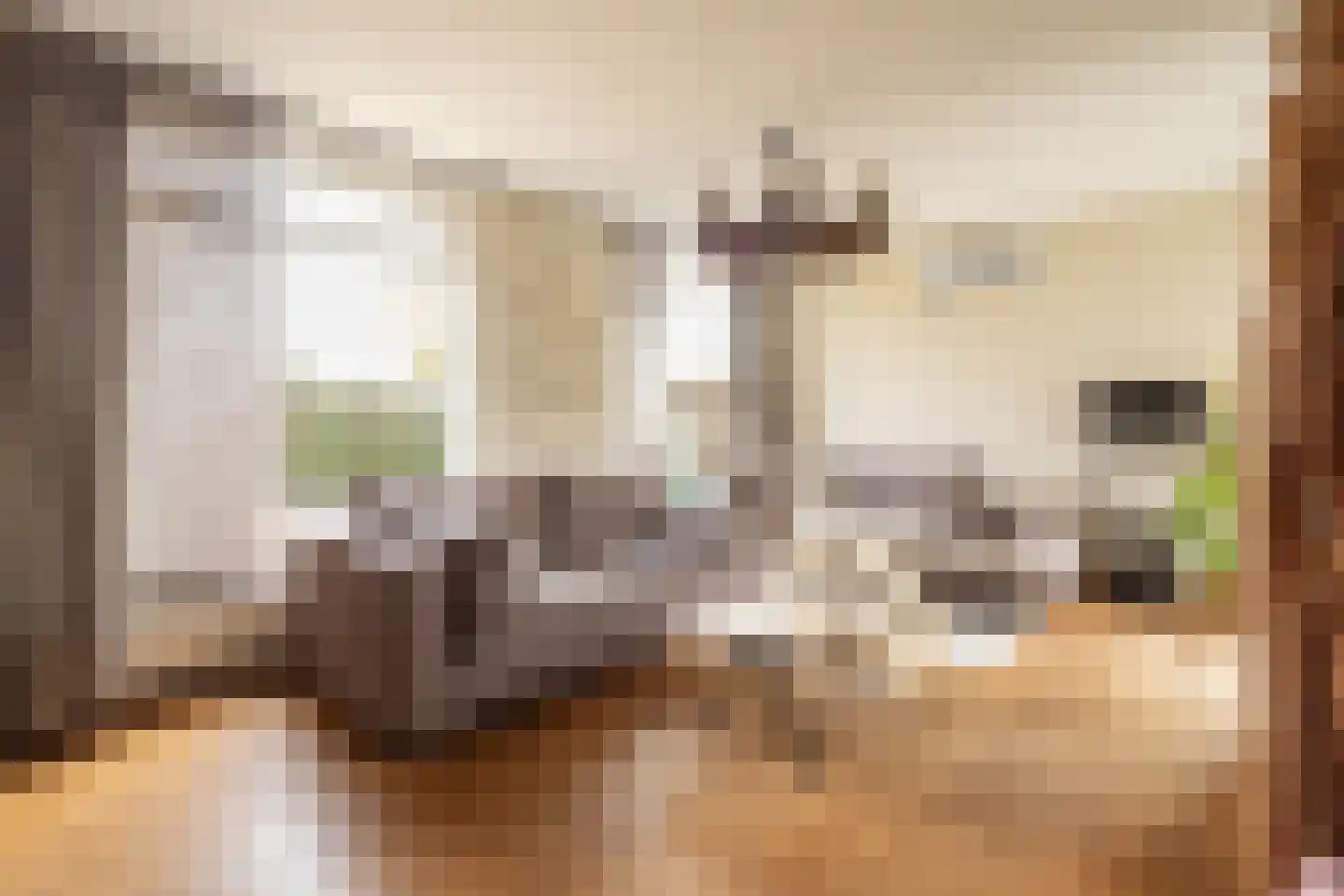Braakmanlaan 28 Biervliet thumbnail 10