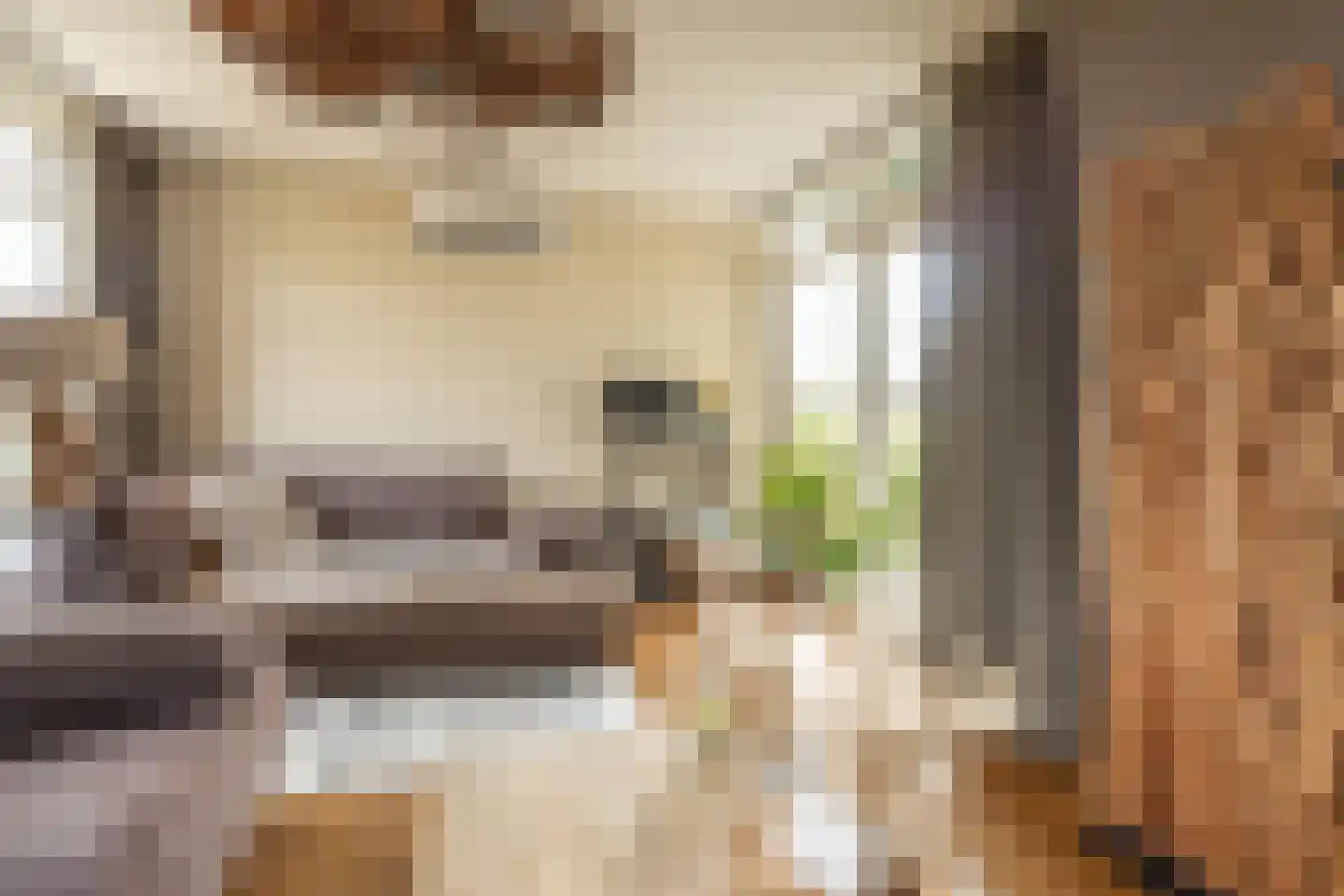 Braakmanlaan 28 Biervliet thumbnail 11