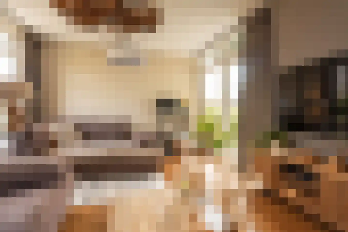 Braakmanlaan 28 Biervliet thumbnail 11