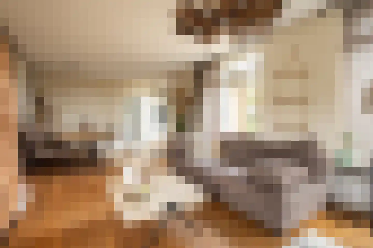 Braakmanlaan 28 Biervliet thumbnail 12