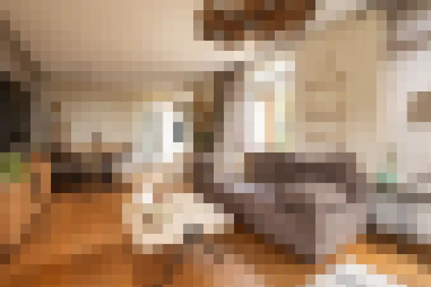 Braakmanlaan 28 Biervliet thumbnail 12