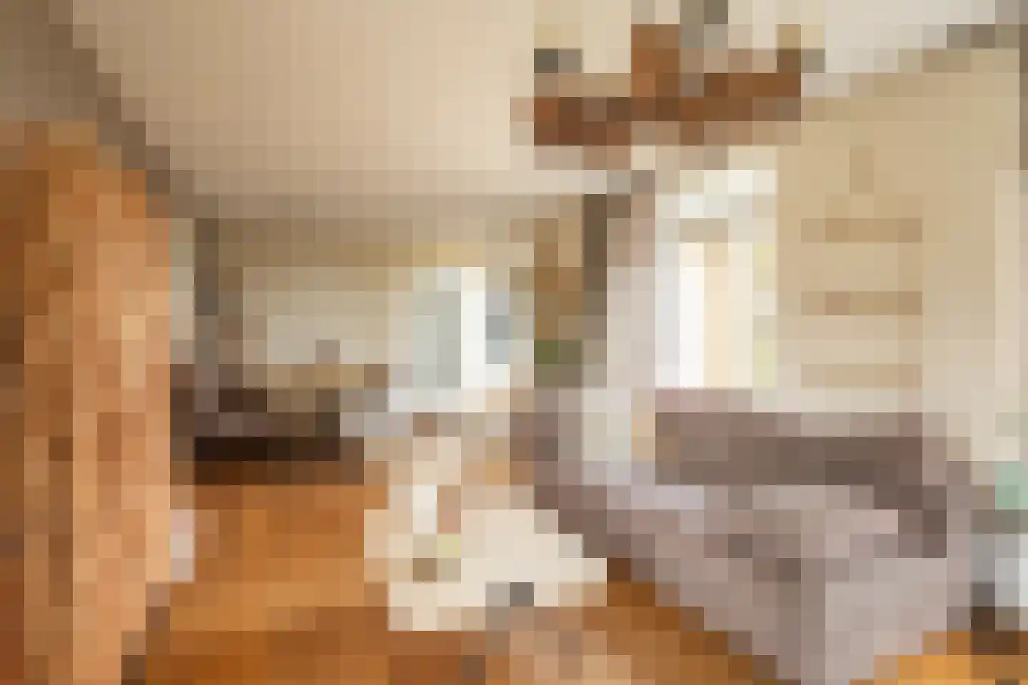 Braakmanlaan 28 Biervliet thumbnail 13