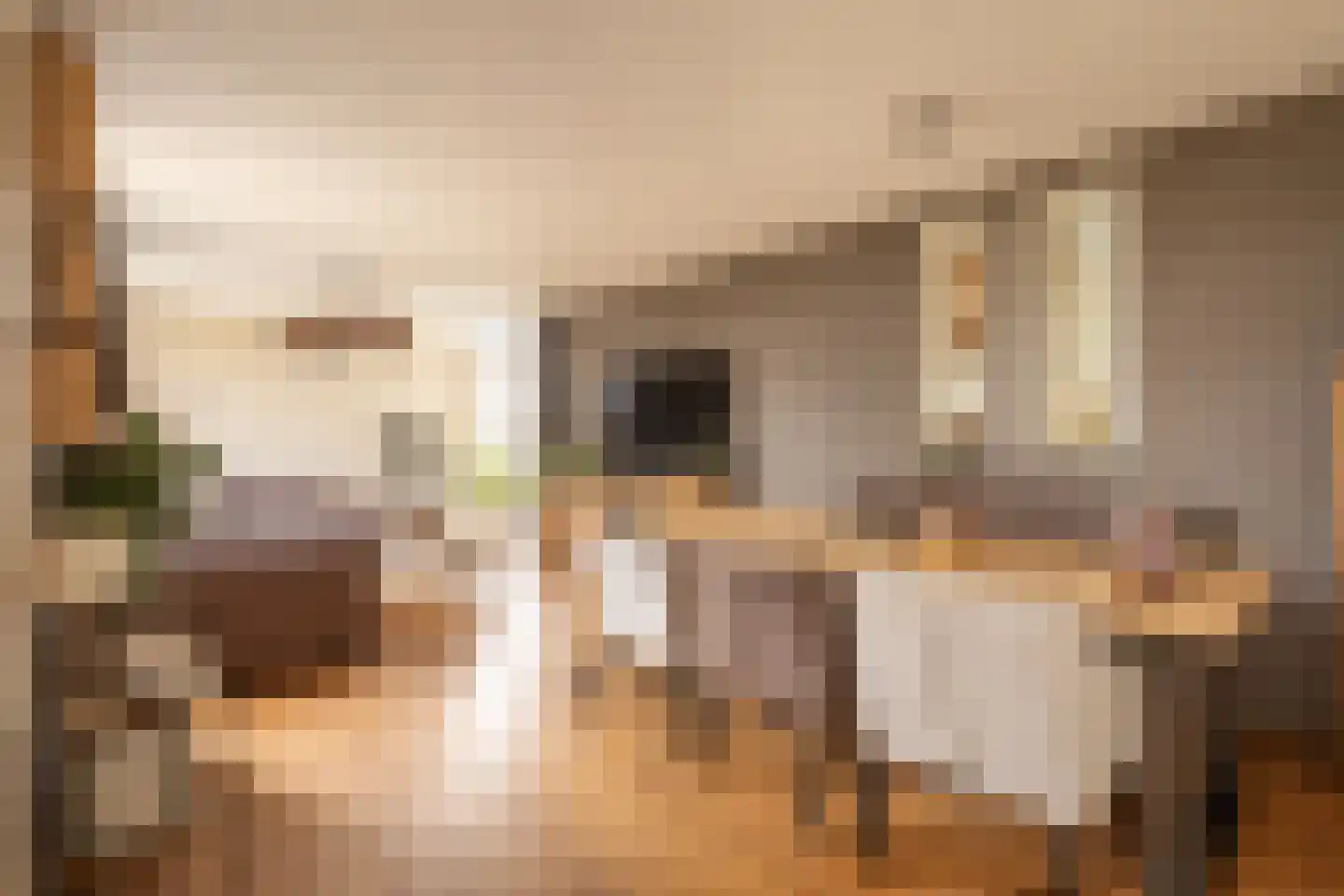 Braakmanlaan 28 Biervliet thumbnail 14
