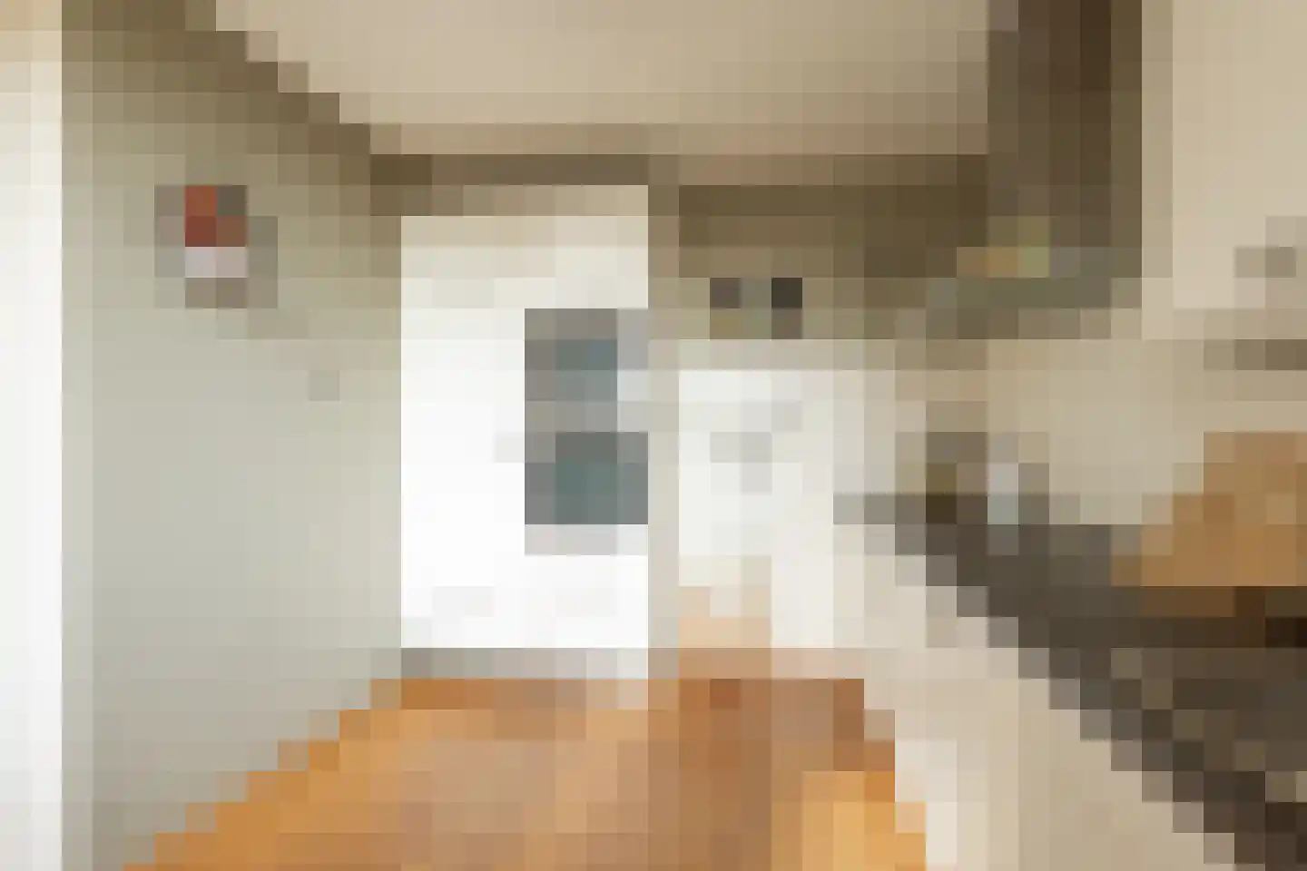 Braakmanlaan 28 Biervliet thumbnail 18